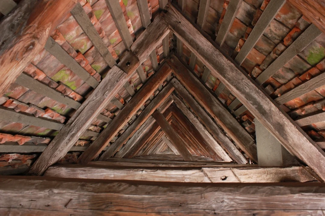 Attic Mold Removal & Sanitization in Mobile, AL