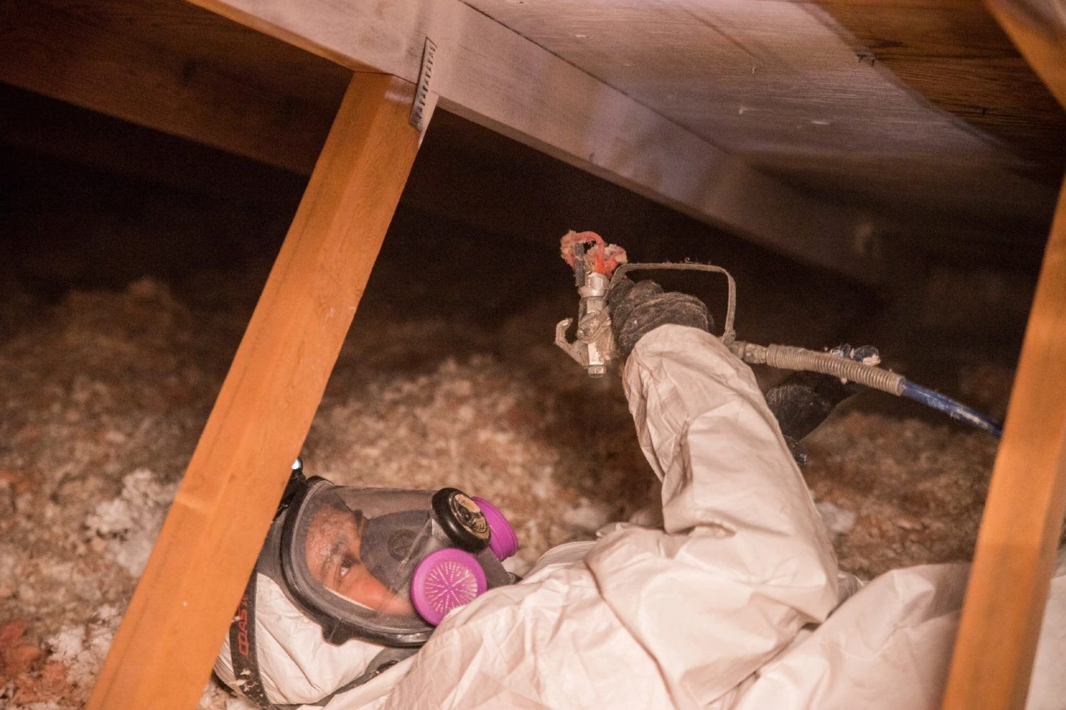 Crawl Space Mold Removal in Mobile, AL