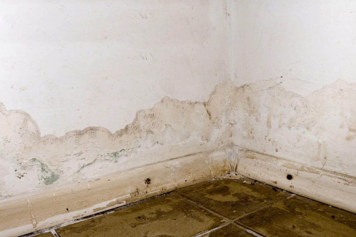 Emergency Flood Response & Mold Mitigation in Mobile, AL